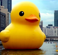 Giant Duck