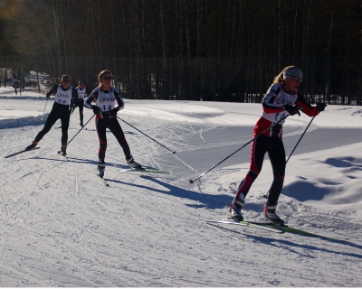 Nordic Skiers photo